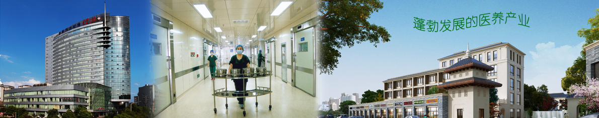 Organotin T-9 price trend analysis and strategic partner recruitment information for long-term procurement of large chemical manufacturers